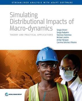 Paperback Simulating Distributional Impacts of Macro-Dynamics: Theory and Practical Applications Book