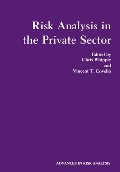 Hardcover Risk Analysis in the Private Sector Book