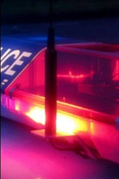 Paperback Shadows Book