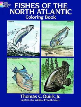 Paperback Fishes of the North Atlantic Coloring Book