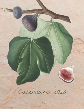 Calendario 2020: Mensualmente 2020 Calendario Ilustrado Frutal con Fechas y Fechas de Grandes Imágenes, Espacios para Registrar Ingresos, Gastos, ... y Notas (cubierta rosa) (Spanish Edition)
