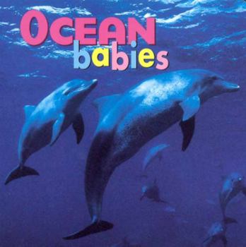 Board book Ocean Babies Book
