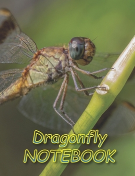 Paperback Dragonfly NOTEBOOK: Notebooks and Journals 110 pages (8.5"x11") Book