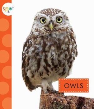 Paperback Owls Book