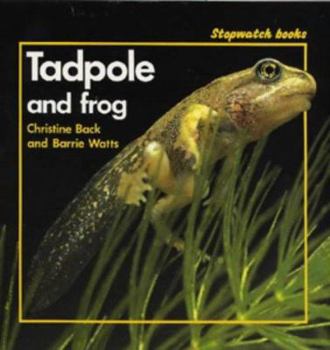 Paperback Stopwatch: Tadpole and Frog (Stopwatch) Book