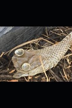 Paperback Valley of Shadows Book