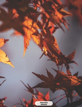 Photo-Stock Notizbuch: Herbstlicher Roter Ahorn Notizbuch 150 Seiten liniert - A4 Format - mattes Softcover