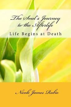Paperback The Soul's Journey to the Afterlife: Life Begins at Death Book