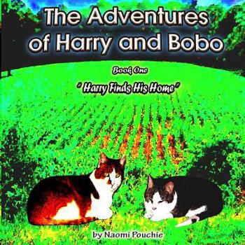 Paperback Harry Finds His Home Book