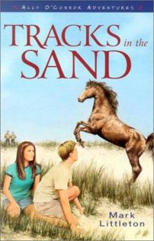 Tracks in the Sand (Ally O'Connor Adventures) - Book #1 of the Ally O’Connor Adventures