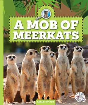 Library Binding A Mob of Meerkats Book