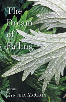 Paperback The Dream of Falling Book