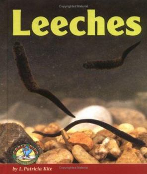 Library Binding Leeches Book