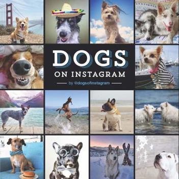 Hardcover Dogs on Instagram Book