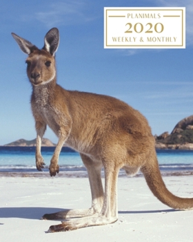 Paperback 2020: Weekly and Monthly Planner/Calendar Jan 2020 - Dec 2020 Kangaroo Book