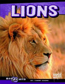 Hardcover Lions Book