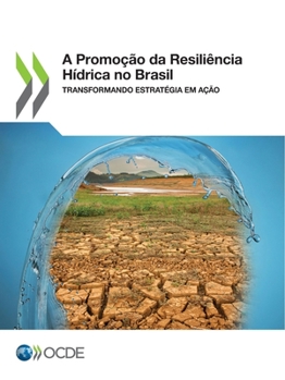 Paperback A Promoção Da Resiliência Hídrica No Brasil Transformando Estratégia Em Ação [Portuguese] Book