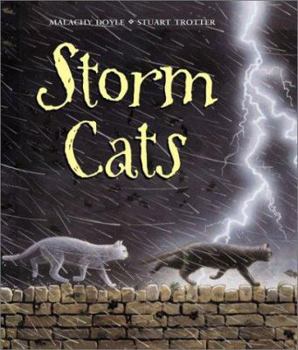 Library Binding Storm Cats Book