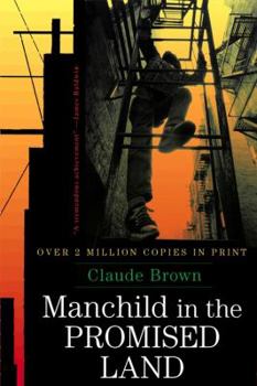 Paperback Manchild in the Promised Land Book
