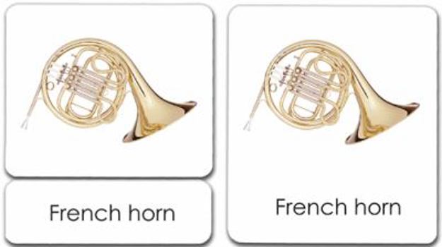 Cards Orchestral Instruments 3-Part Reading Cards Book