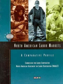 Hardcover North American Labor Markets: A Comparative Profile (North American Labor Series) Book
