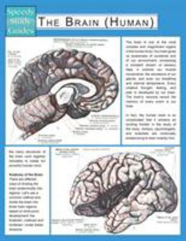 Paperback The Brain (Human) (Speedy Study Guide) Book