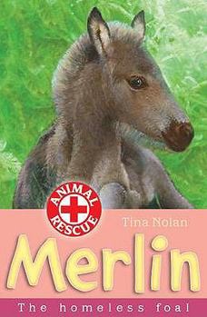 Paperback Merlin. Tina Nolan Book