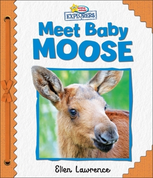 Board book Active Minds Explorers: Meet Baby Moose Book