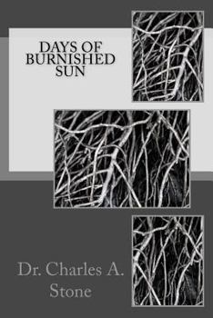 Paperback Days of Burnished Sun Book