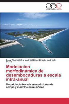 Paperback Modelación morfodinámica de desembocaduras a escala intra-anual [Spanish] Book