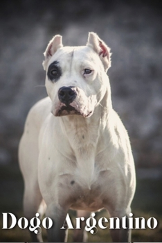 Dogo Argentino: Dog breed overview and guide
