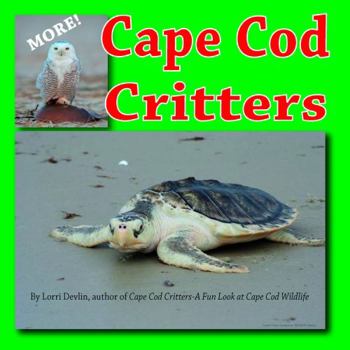 Perfect Paperback MORE Cape Cod Critters by Lorri Devlin Book