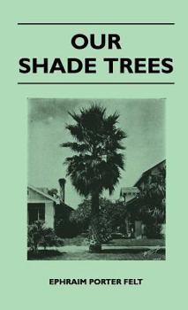 Our Shade Trees