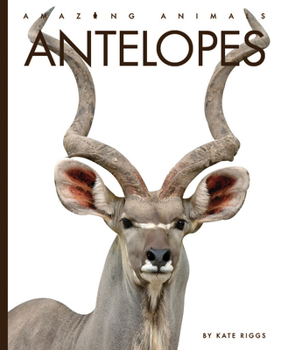 Antelopes - Book  of the Amazing Animals