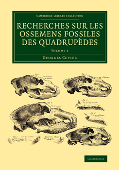 Paperback Recherches sur les ossemens fossiles des quadrupèdes - Volume 4 Book