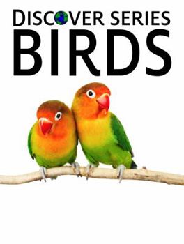 Birds: Discover Series Picture Book for Children - Book  of the Discover