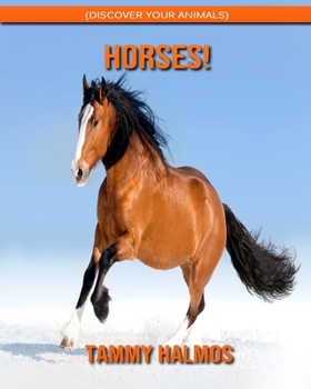 Horses! (Discover Your Animals)