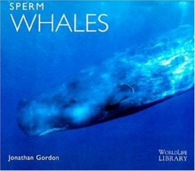 Paperback Sperm Whales Book