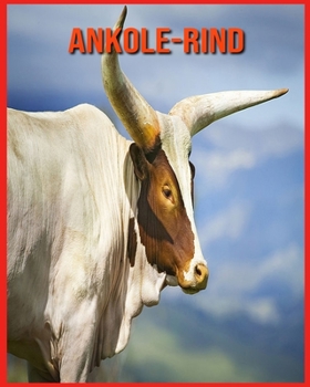 Ankole-Rind: Lustige Fakten & coole Bilder