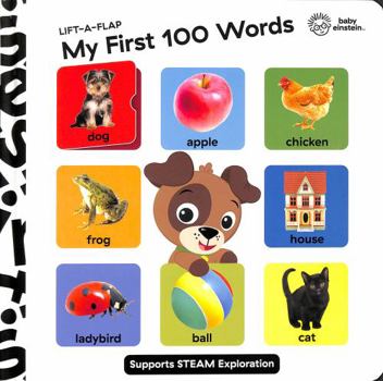 Hardcover My First 100 Words Lift a Flap Book