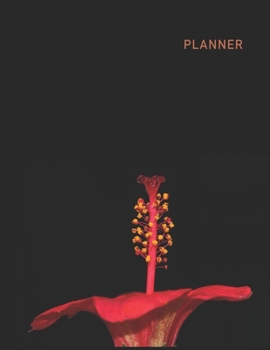 Planner: HibiscusAnime & Chill 2 Year Monthly Planner with Note Pages (24 Months) | Mediterranean Hibiscus Flower | Jan 2020 - Dec 2021 | Month ... | Plan Each Day, Set Goals & Get Stuff Done