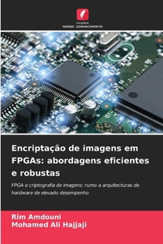 Encriptação de imagens em FPGAs: abordagens eficientes e robustas (Portuguese Edition)