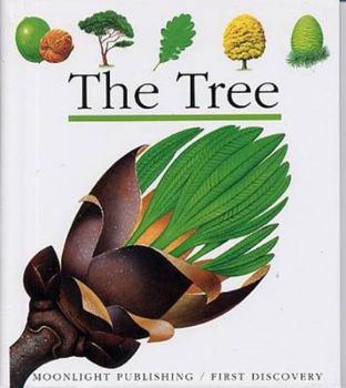The Tree (First Discovery Books) - Book  of the First Discovery