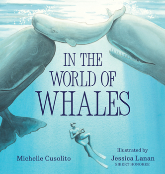 Hardcover In the World of Whales Book