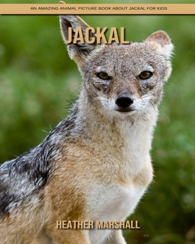 Paperback Jackal: An Amazing Animal Picture Book about Jackal for Kids Book