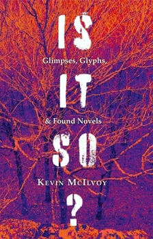 Paperback Is It So?: Glimpses, Glyphs, & Found Novels Book