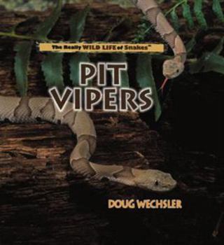 Pit Vipers (Wechsler, Doug. Really Wild Life of Snakes.) - Book  of the Really Wild Life of Snakes