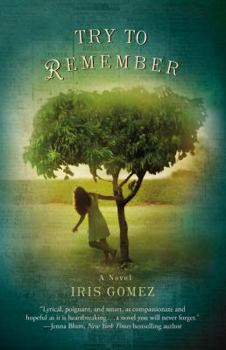 Paperback Try to Remember Book