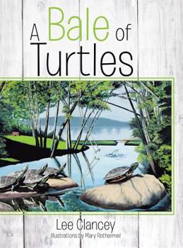 Hardcover A Bale of Turtles Book