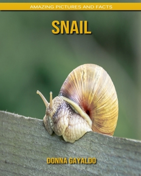 Snail: Amazing Pictures and Facts